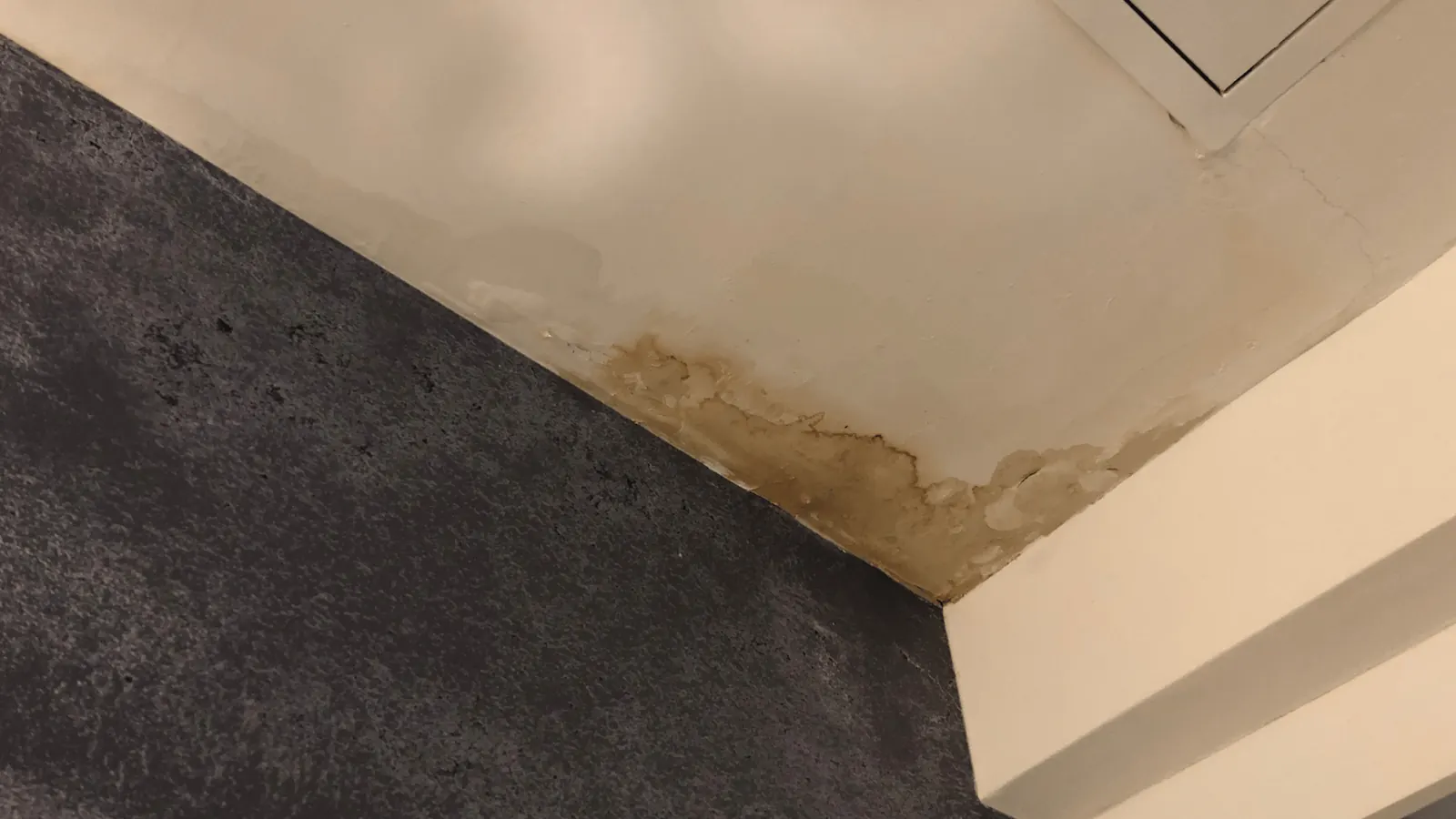 Water stain discoloration on a drywall ceiling surface