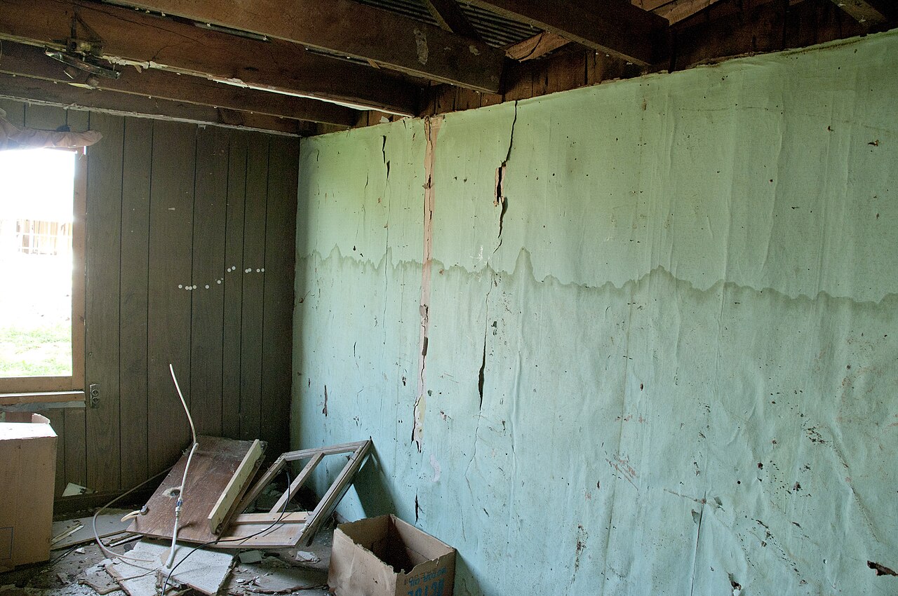 Waterline marks and peeling wallpaper on interior room walls following flood damage (FEMA photo by Andrea Booher)